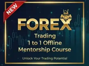 Secret of Trading Forex Mentorship Online Course